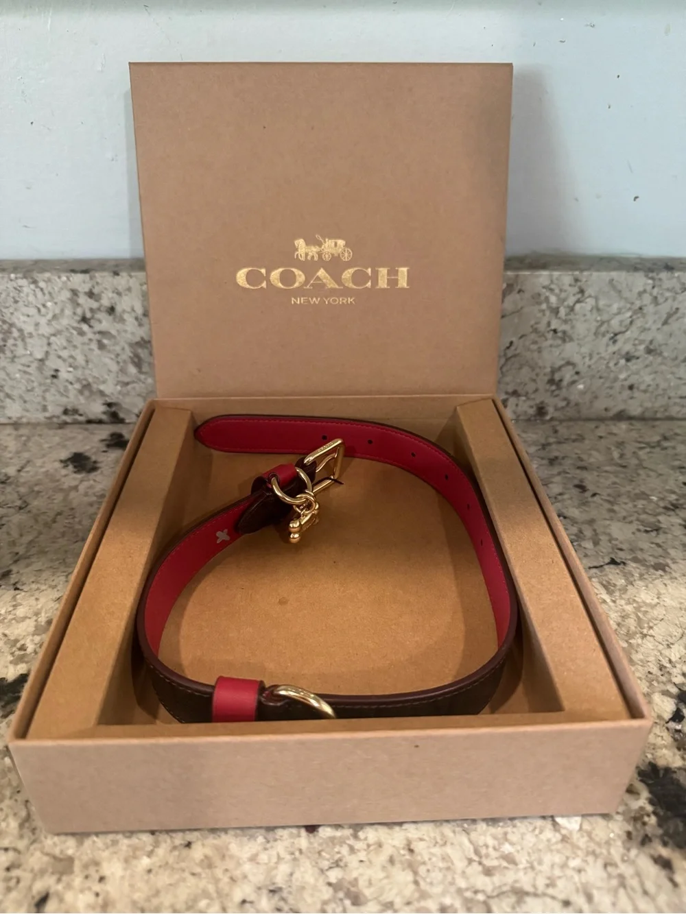 NWT Coach Signature Leather Dog Collar Brown Red Gold w/Charm LARGE 17” - 21”